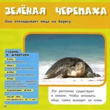 Животные. Моя первая энциклопедия