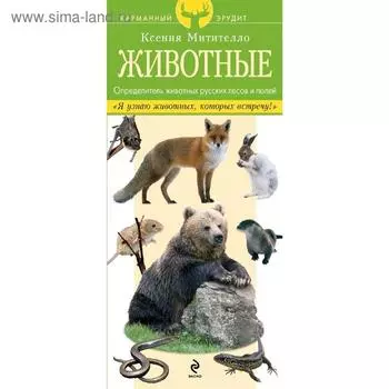 Животные. Определитель животных русских лесов и полей, Митителло К.Б.