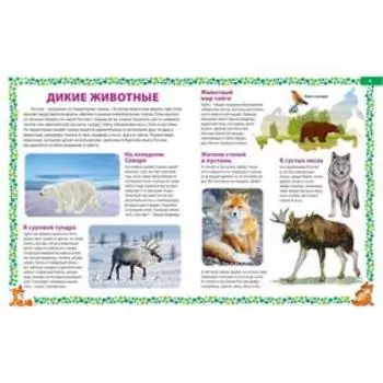 Животные России. Детская энциклопедия
