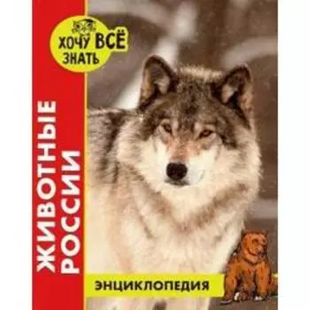 Животные России. Калугина Л.