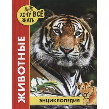 Животные. Соколова Я.