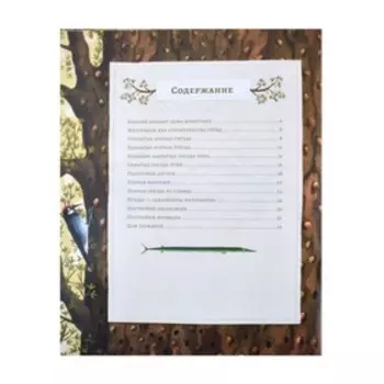 Животные-строители