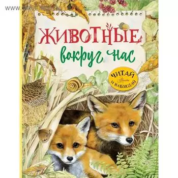 Животные вокруг нас
