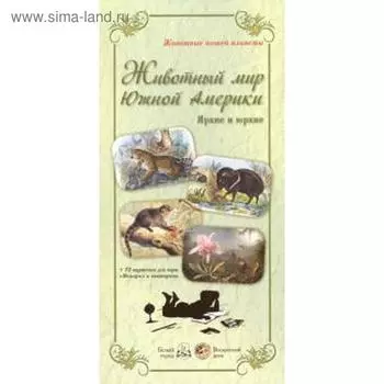 Животный мир Южной Америки. Яркие и юркие (репродукция)