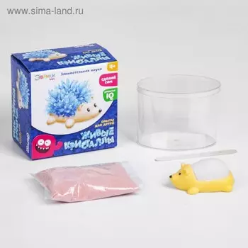 Живые кристаллы «Ёжик»