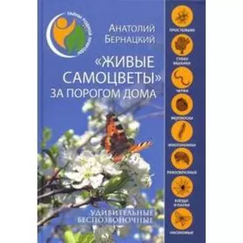 Живые самоцветы за порогом дома. Удивительные беспозвоночные