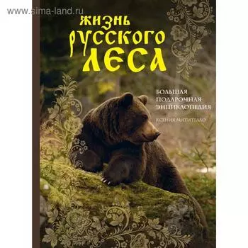 Жизнь русского леса (издание дополненное и переработанное) (медведь)