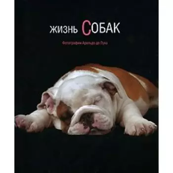 Жизнь собак