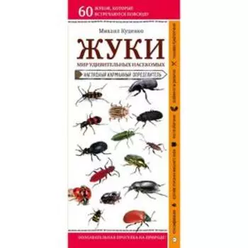Жуки. Мир удивительных насекомых, Куценко М.
