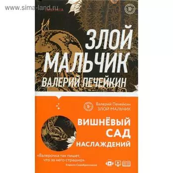 Злой мальчик. Печейкин В. В.