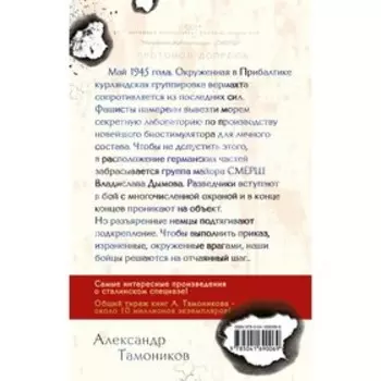 Зловещий лабиринт. Тамоников А.А.