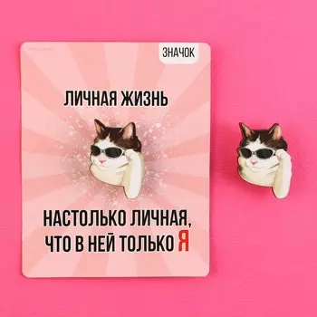 Значок деревянный «Кот в очках», 2.43.2 см