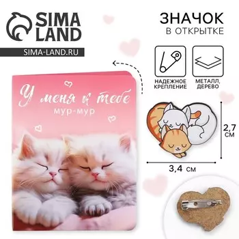 Значок на открытке «Котики», 10 х 8 см