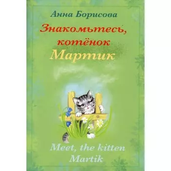 Знакомьтесь, котенок Мартин / Meet, the kitten Martik. Борисова Анна