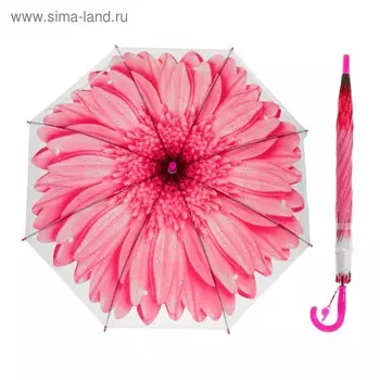 Зонт-трость «Гербера», полуавтоматический, со свистком, R=41см, цвет розовый
