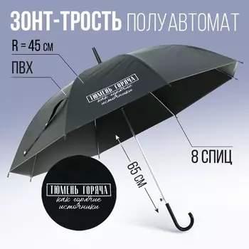 Зонт трость полуавтомат «Тюмень горяча, как горячие источники», чёрный, 8 спиц, R=45 см
