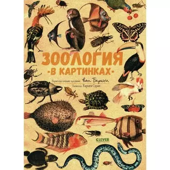 Зоология в картинках. Сория К.