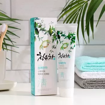 Зубная паста Dental Clinic 2080 Восточный чай мята, 120 г