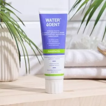 Зубная паста для виниров Waterdent, 100 г