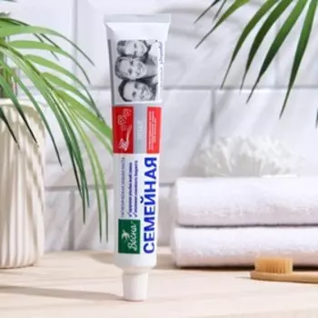 Зубная паста «Весна», антибактериальная, для всей семьи, 90 г