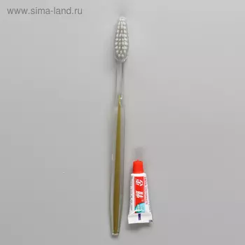 Зубной набор в пакете: зубная щетка 16 см + зубная паста 3 г