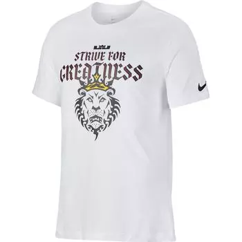 Футболка LeBron "Strive For Greatness"