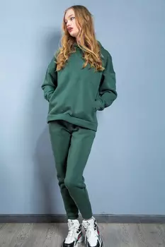 Комплект женский утепл (толстовка + брюки) (B) STOLNIK 806 (46, Черный)