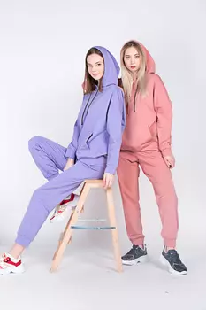 Костюм женский спорт (толстовка+брюки) (B) STOLNIK ЛK-5 (42, Розовый)