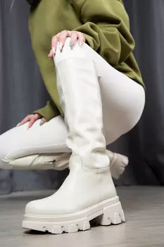 Сапоги женские Meitesi H809-1 (38, Бежевый)