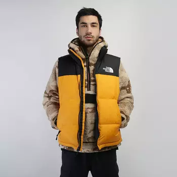 Жилет The North Face