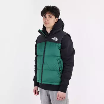 Жилет The North Face