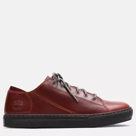 Adventure 2.0 Modern Oxford
