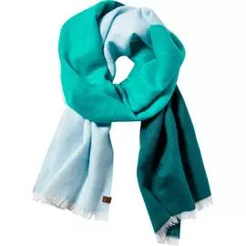 Color Blocked Woven Scarf