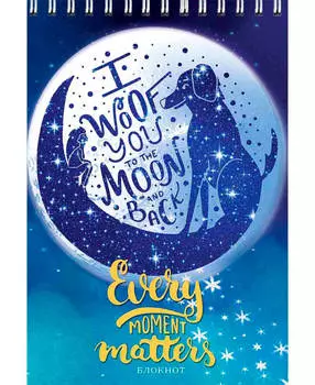 Блокнот Проф-Пресс 40л а6 лунная ночь б40-5886