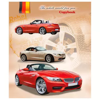 Брошюра для записей 48л клетка проф-пресс микс 3 48-1305/48-3856/48-9348