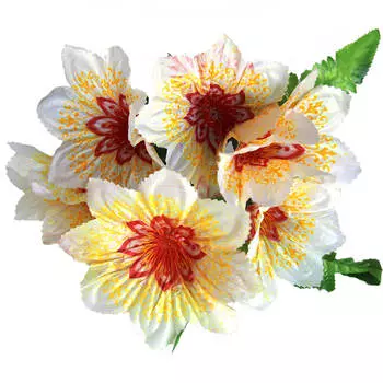 Букет нарцисов белых Европа 7 бутонов tpc48-443