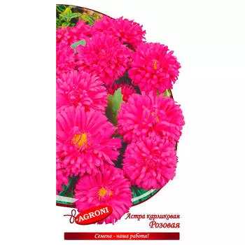 Цветок астра карликовая розовая 0,3г агрони