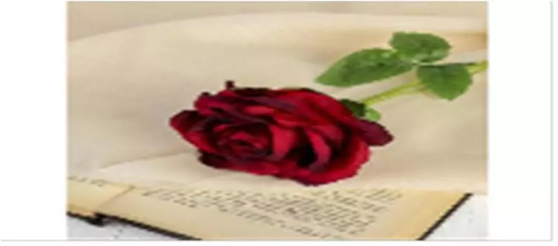 Цветок искусственный роза бланка 7,5*55см красная 3933362