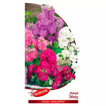 Цветок левкой микс 0,5г агрони