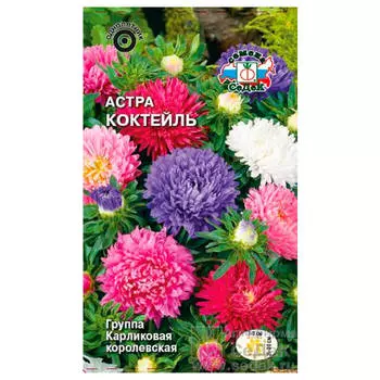 Цветы астра коктейль карликовая королевская смесь 0,2г седек