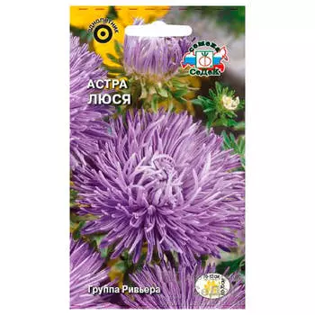 Цветы астра люся игольчатая темно-сиреневая 0,2г даёшь урожай