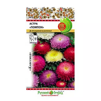 Цветок астра помпон смесь 0,3г р/о