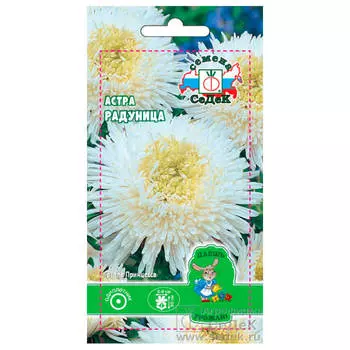 Цветы астра радуница белая 0,2г даёшь урожай