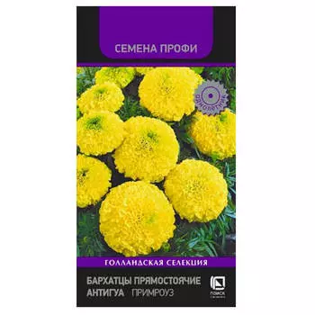 Цветы Бархатцы прямостоячие антигуа примроуз 15шт Поиск