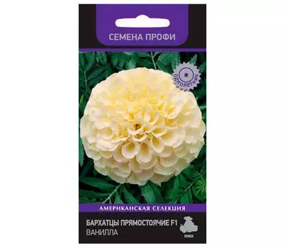 Цветы Бархатцы прямостоячие f1 ванилла 10шт Поиск