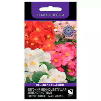 Цветы Бегония вечноцветущая зеленолистная спринт плюс макси микс 15шт Поиск