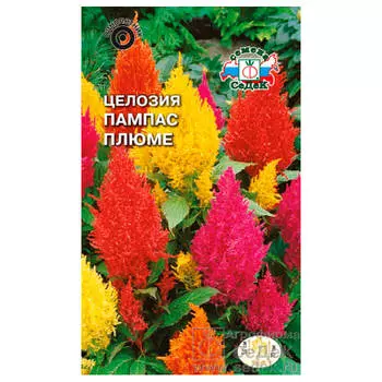 Цветы целозия пампас плюме перистая высокорослая 0,1г даёшь урожай