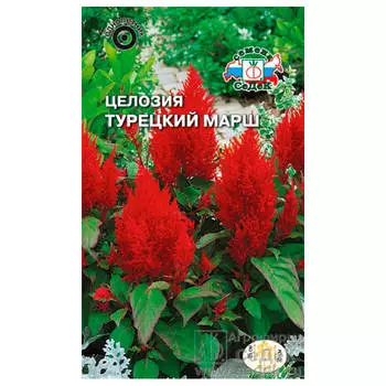 Цветы целозия турецкий марш перистая огненно-красная 0,1г седек