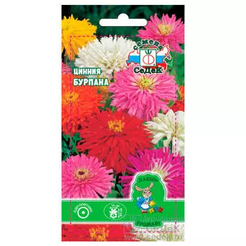 Цветы цинния бурпана хризантемовидная смесь 0,3г даёшь урожай