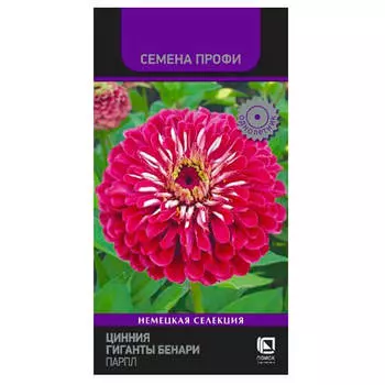 Цветы Цинния гиганты бенари парпл 10шт Поиск